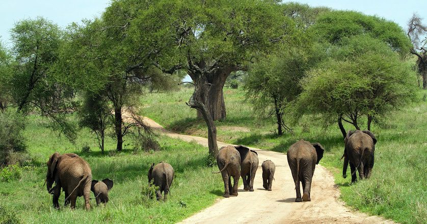 Kidepo National Park Uganda