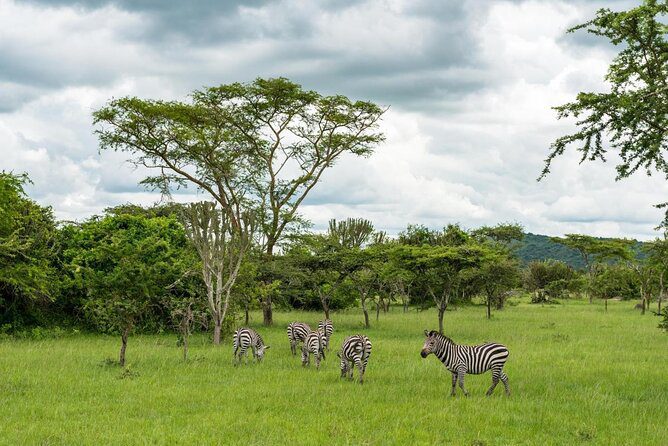4 Days Bwindi & Lake Mburo