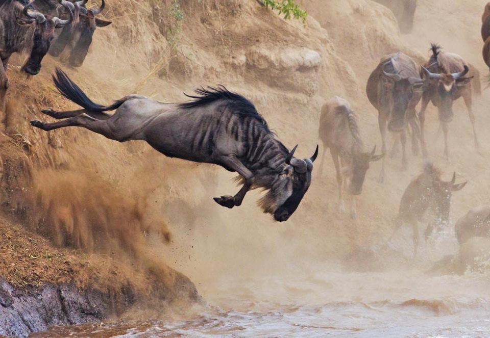 8 Days Kenya Safari Holiday