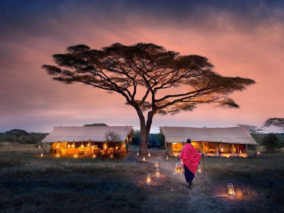 Blogs Bigodi Africa Expeditions