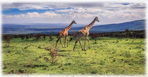 Serengeti National Park safari lodge overlooking Tanzania wildlife plains