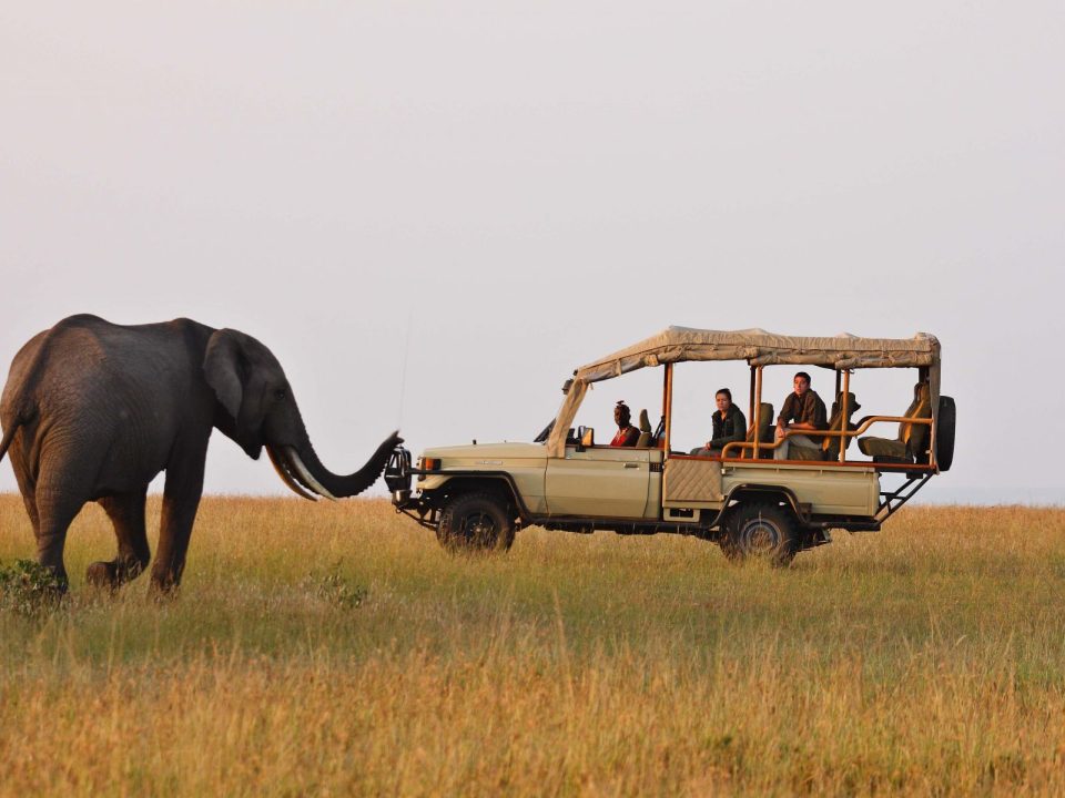 Wildlife Adventure East Africa