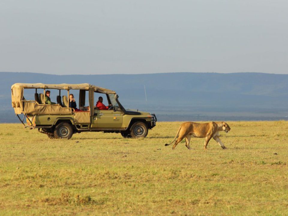 3 Days Masai Mara Safari