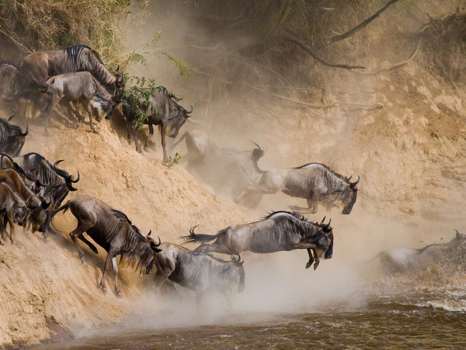 25 Days Rwanda, Uganda, Kenya and Tanzania Safari Experience