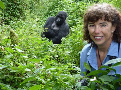 Rwanda gorilla trekking cost breakdown with gorilla permit and safari expenses