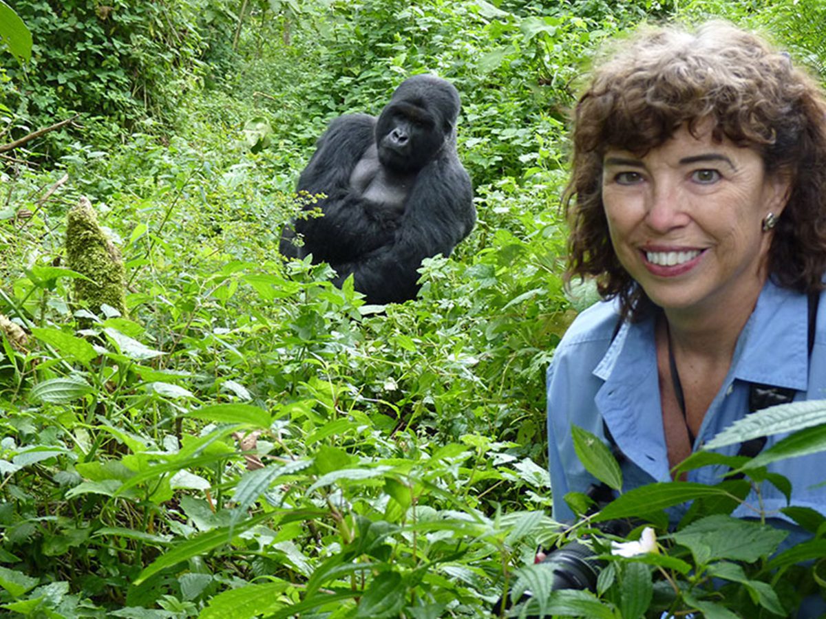 Travelers enjoying Gorilla Trekking Uganda inside Bwindi rainforest