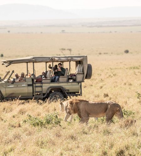 Kenya vs Tanzania safari cost comparison showing mid-range and luxury safari accommodation