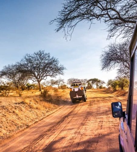 Kenya safari and Tanzania safari wildlife viewing with a professional guide