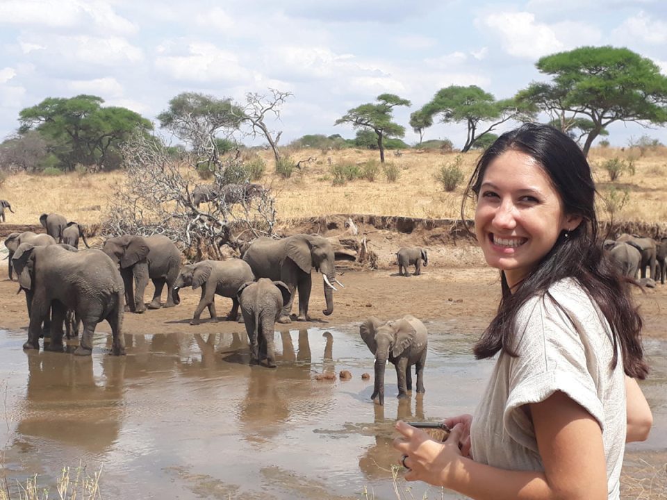 Tanzania Africa Safaris