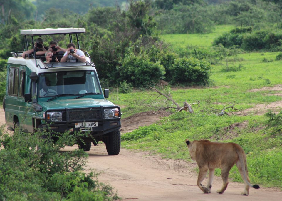 When Planning African Safari