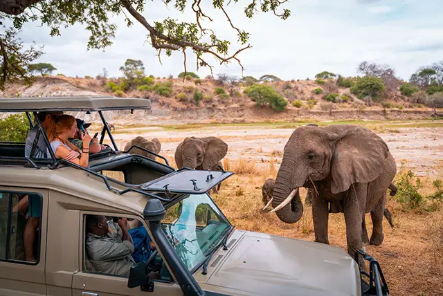 Uganda National Parks
