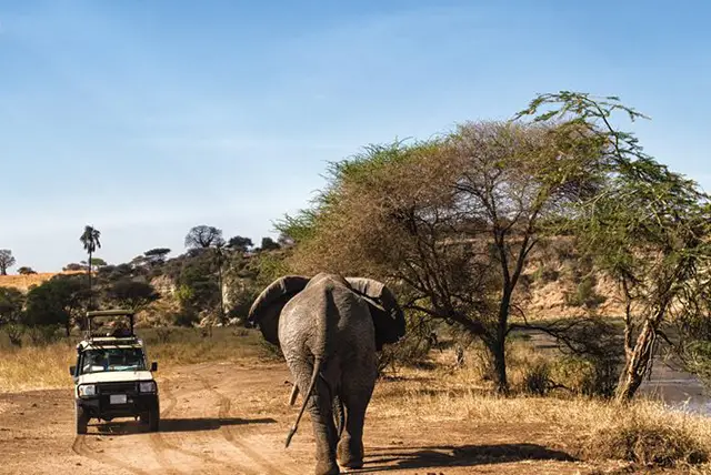 Kenya Wildlife Safari