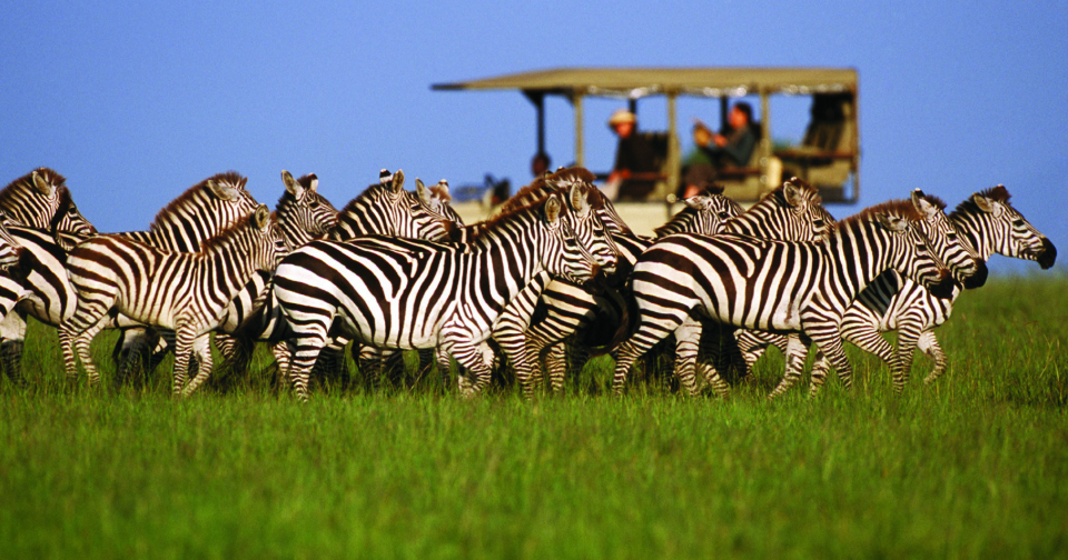 Kibale National Park rainforest in western Uganda