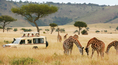 Uganda weather during the best time to visit Uganda