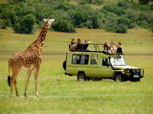 Tanzania safari cost guide showing a Serengeti game drive at sunrise