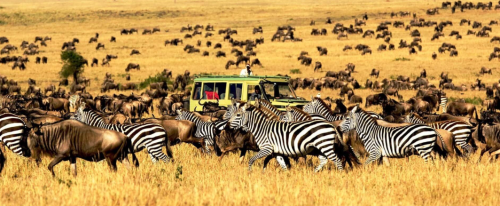 Tanzania safari cost planning with a 4x4 safari vehicle in Serengeti