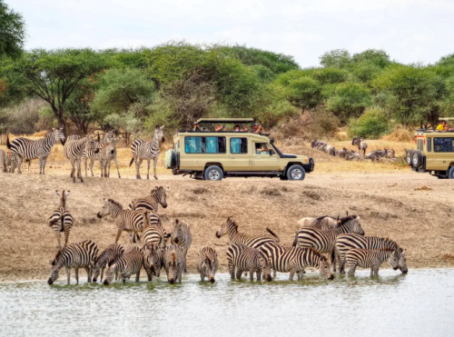 Family safari vehicle driving through Queen Elizabeth National Park