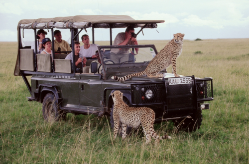 Children on a guided nature walk during a Uganda family safari