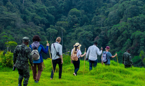 family Uganda safari packages with parents and children watching elephants from a safari vehicle