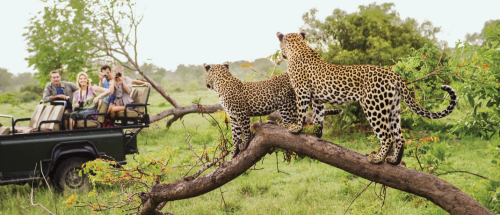Uganda safari cost 2026 wildlife game drive