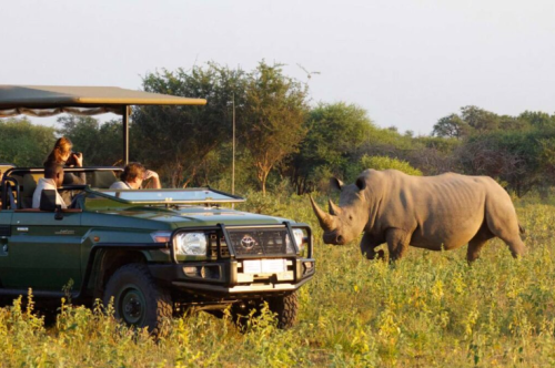 best time to visit Uganda for safari