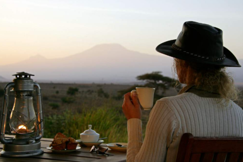 best national parks in Uganda showing elephants and lions on an African savanna