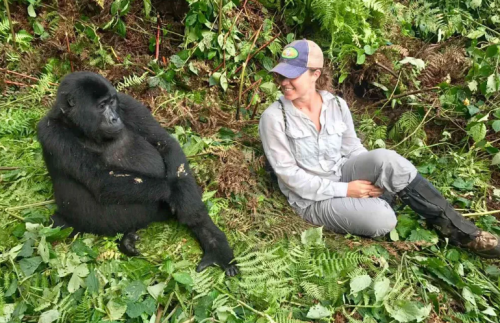 Uganda gorilla trekking cost in Bwindi Impenetrable National Park