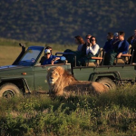 Big Five wildlife on Uganda Kenya Tanzania safari