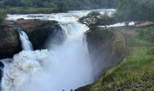 Uganda wildlife safari in Murchison Falls National Park