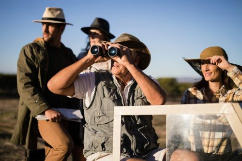 Uganda safari season for wildlife photography