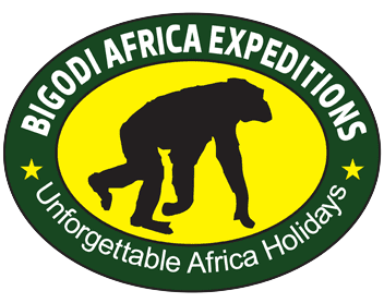 Bigodi Africa Expeditions Ltd Logo